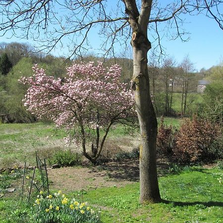 Вилла Les Chevrefeuilles Walcourt Номер фото